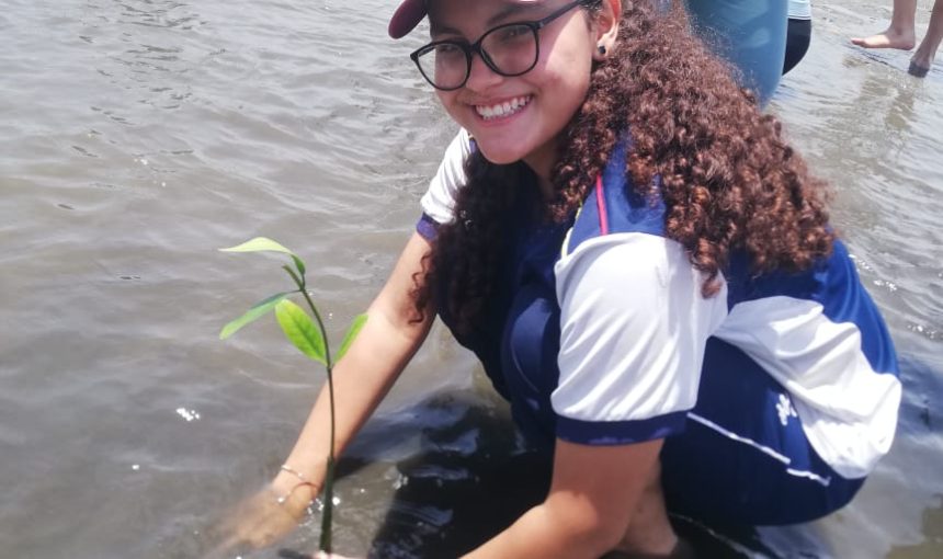 Aventura Manglar: Reforestando Vida en Mallorquín