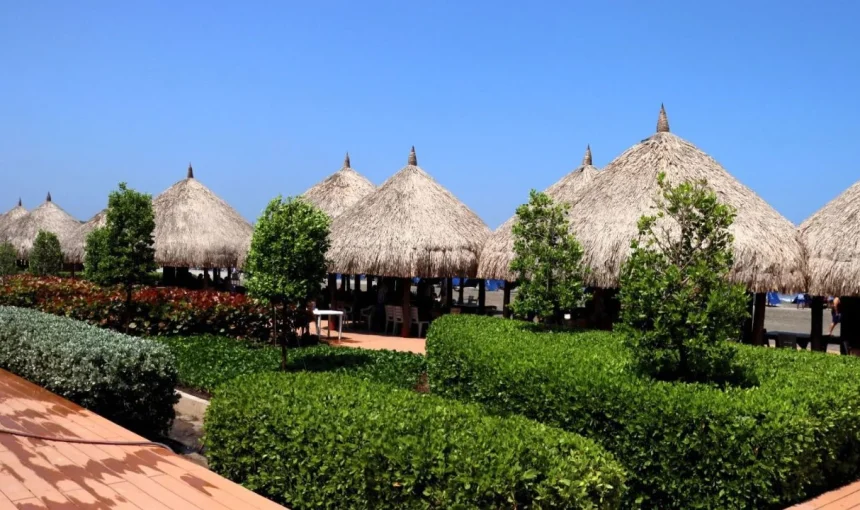 Day tour Barranquilla y Playa