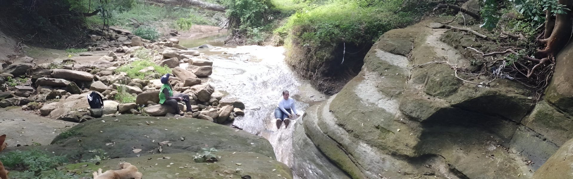 Reserva los charcones Piojo atlántico
