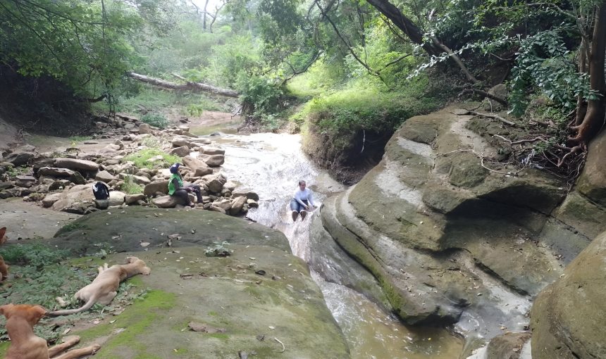 Avistamiento de aves y/o monos – Reserva Los Charcones